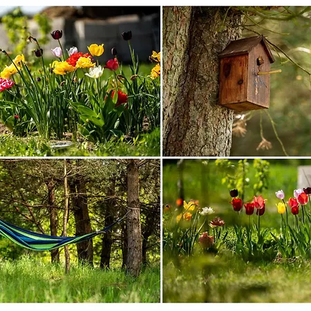 Dom wakacyjny Kiton House *