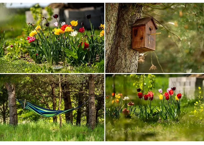 Dom wakacyjny Kiton House *