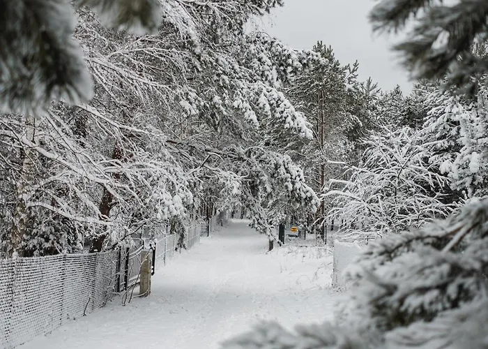 Kiton House * Skarlin