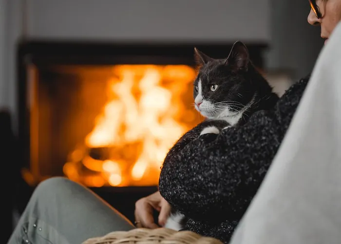 Kiton House Dom wakacyjny